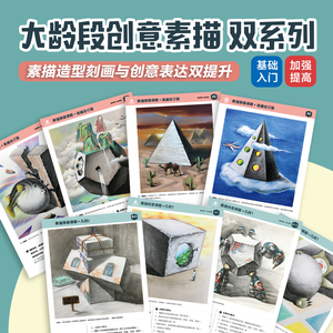 双册装大龄段创意素描递进2系列