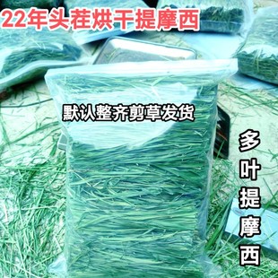 提摩西整齐草段宠物牧草饲料兔子荷兰猪龙猫主粮500克 包邮