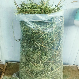 (五斤装)二茬晒干提摩西草兔子龙猫荷兰猪羊驼动物干草饲料包邮