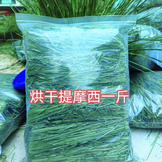 ［五斤五袋］现货26年烘干提摩西段兔子龙猫荷兰牧草粮用品包邮