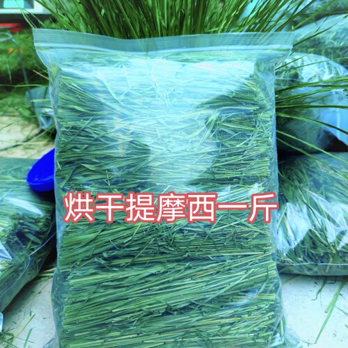 新烘干头茬提摩西草段兔龙猫猪粮
