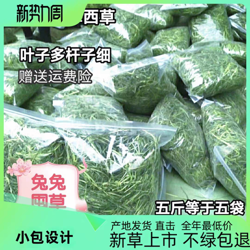 新年晒干提摩西草兔子嫩草包邮
