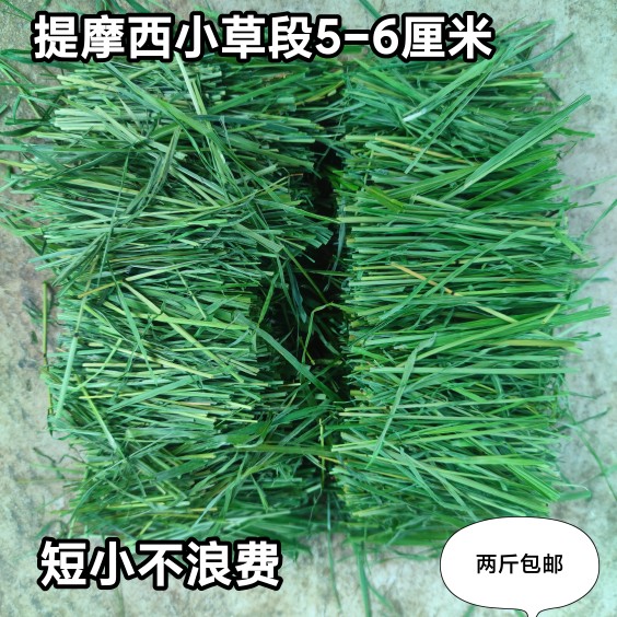 多叶烘干提摩西小草段5-6厘米长度兔子荷兰猪爱吃不浪费两斤包邮