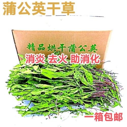 22年新宠物牧草蒲公英干草兔子荷兰猪龙猫鼠干草饲料宠物消炎草