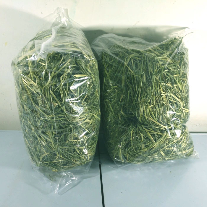 提摩西兔兔干草岷山草场包邮