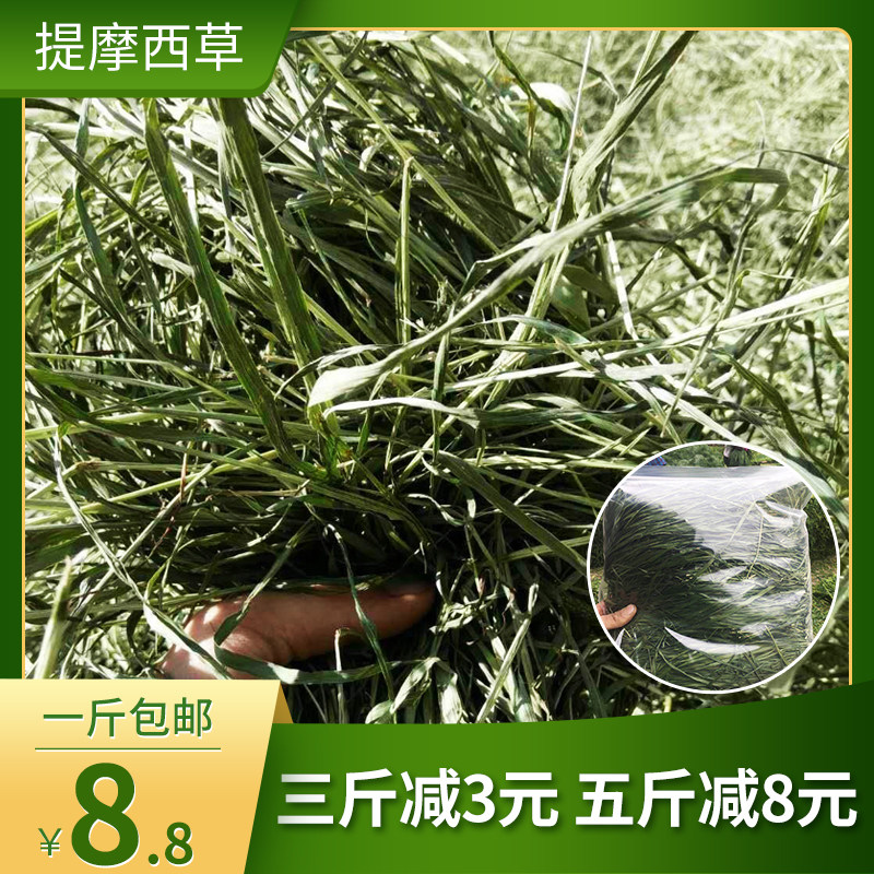 20 Gansu Timothy Hay rabbit Totoro Guinea pigs Supplies pet feed 500 gramin the Pet/Pet food and supplies , Rabbits and supplies , Bunny hay  category - from Buy2taobao.com to provide professional Taobao agent buy service
