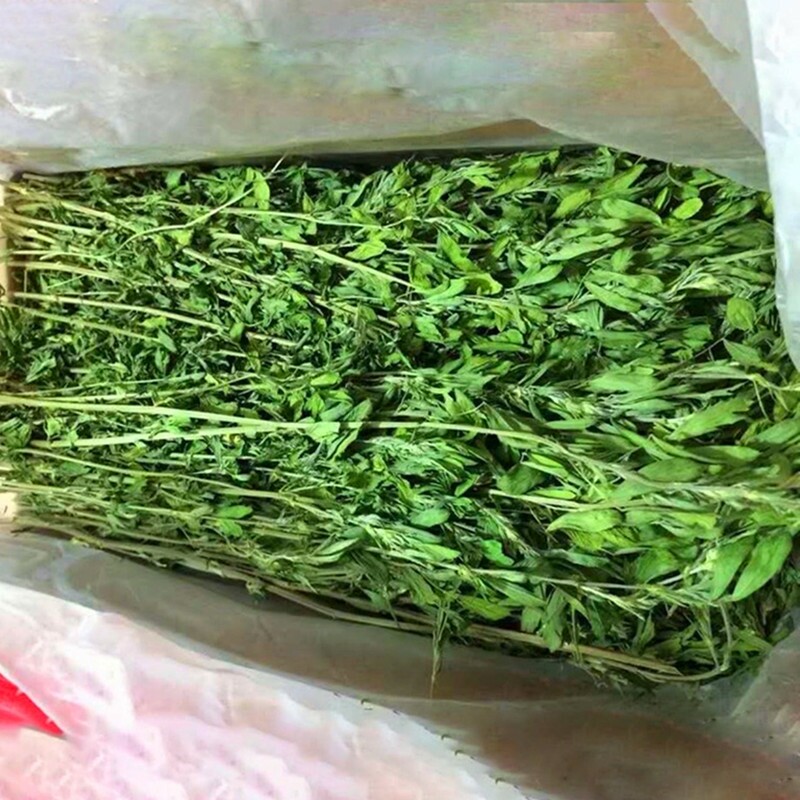 26年新苜蓿草幼兔干草荷兰猪龙猫小动物干草饲料一箱毛重两斤包邮