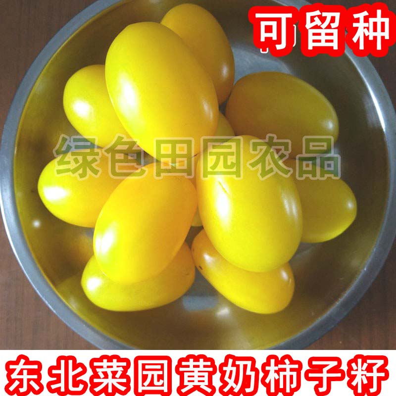 东北农家菜园黄牛奶 手工精选 柿子籽2克