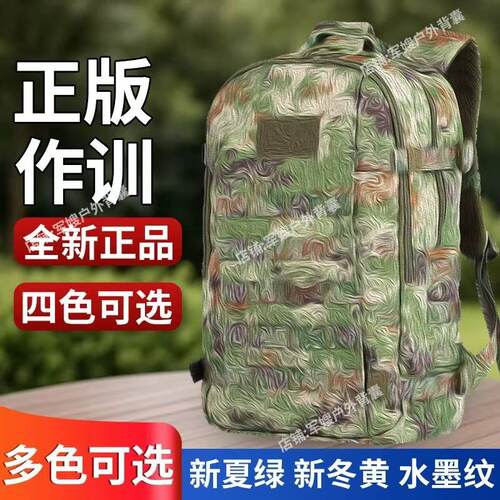 E19N作训包战术背包户外双肩包携行具生活背囊野营单迷彩多功能包