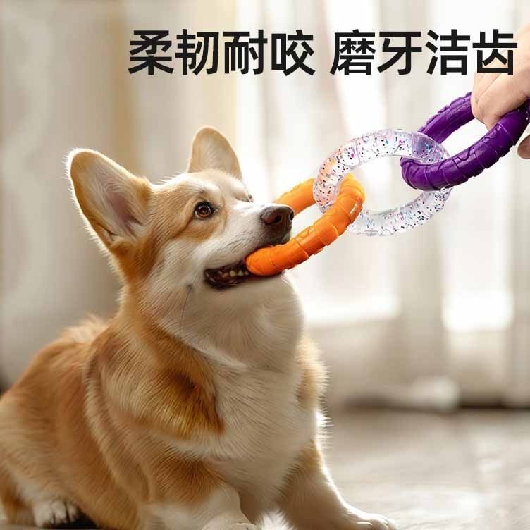 狗狗玩具宠物耐咬洁齿磨牙解闷拉力环泰迪金毛小型犬训练互动用品