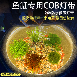 古法鱼缸灯专用COB防水潜水灯带鱼池生态水缸养鱼观赏照明led灯条