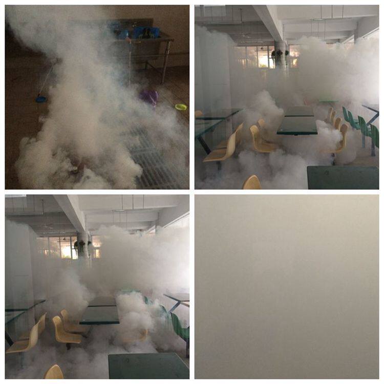 臭虫跳蚤烟雾臭虫药烟雾跳蚤一扫光立马见效杀虫卵灭蟑弹全窝端