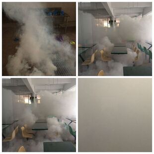 臭虫跳蚤烟雾臭虫药烟雾跳蚤一扫光立马见效杀虫卵灭蟑弹全窝端