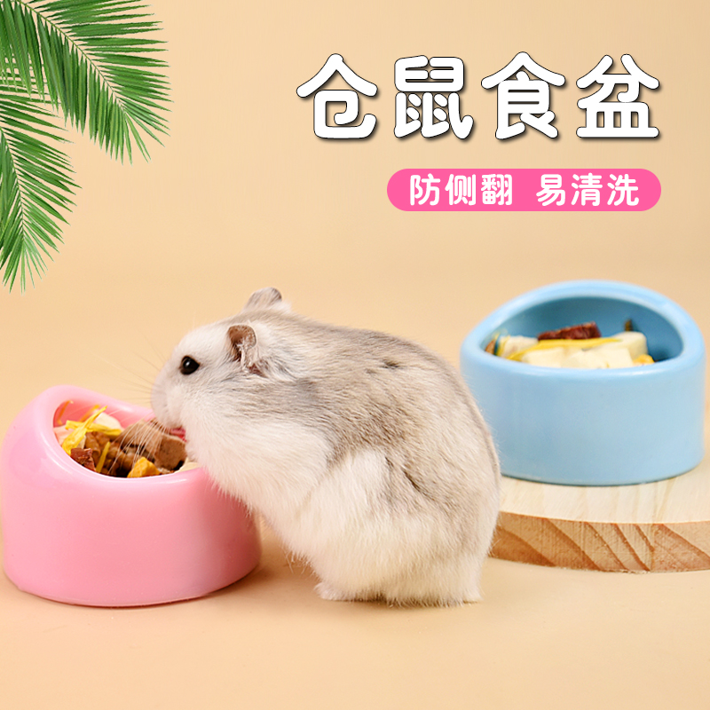 仓鼠食盆喂水器金丝熊食盒喂食器喝水饮水陶瓷粮食碗饭盆生活1