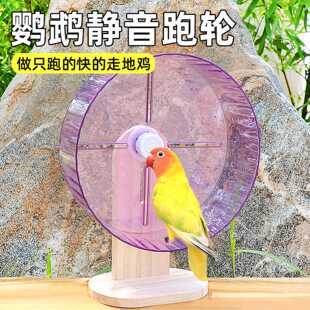 鹦鹉跑轮虎皮专用鸟笼配件大全牡丹益智锻炼攀爬训练玩具解闷1