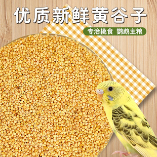 冠之亚黄谷子鸟粮带壳小米虎皮鹦鹉玄风牡丹粮食文鸟黄谷子饲料