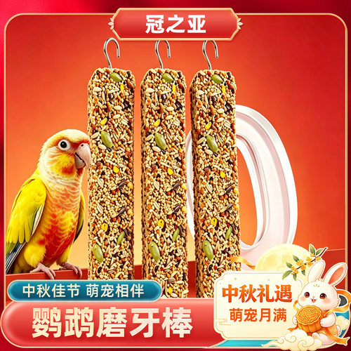 鹦鹉磨牙棒专用磨嘴器