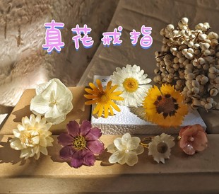 原创设计 真花制作进口永生花滴胶超可爱创意可调节开口戒指礼物