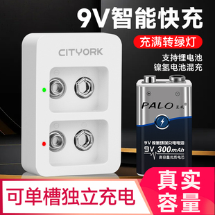 万用表测体温枪仪器表方块形9号伏6f22方块电池 9V电池充电器套装