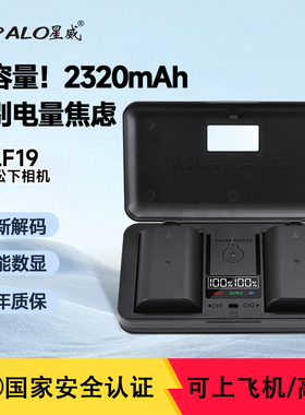 DMW-BLF19相机电池松下DMC-GH4 GH5 GH5S GH3 G9LGK 双充充电器