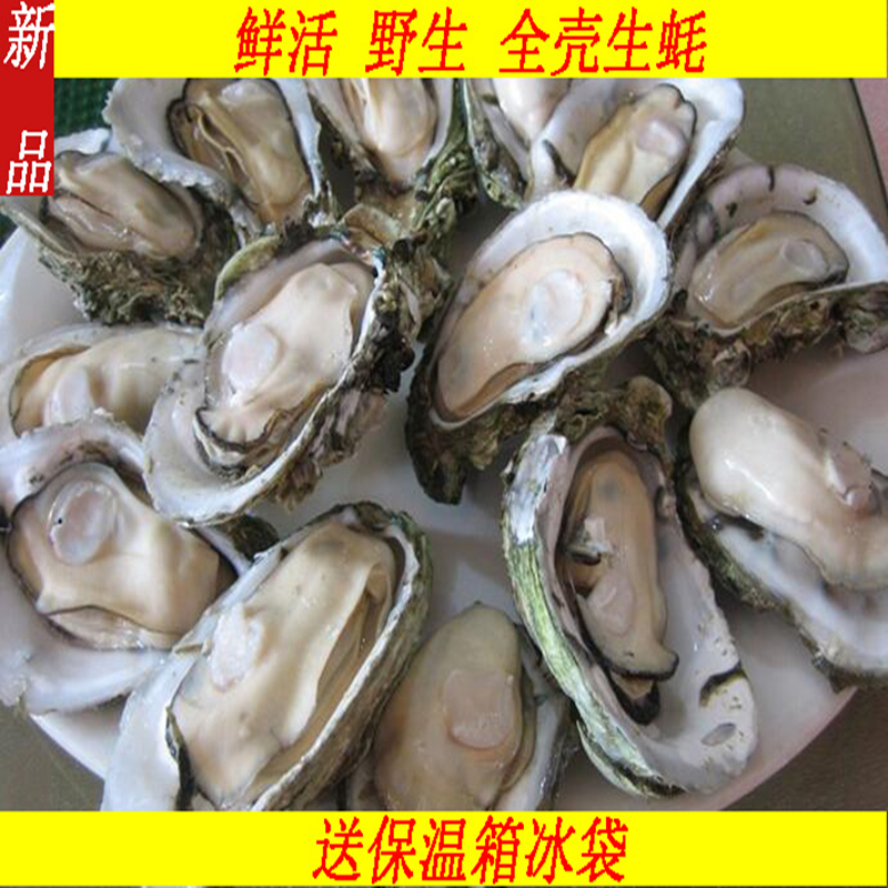 10斤连云港鲜活海鲜包邮