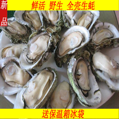 10斤连云港鲜活海鲜包邮