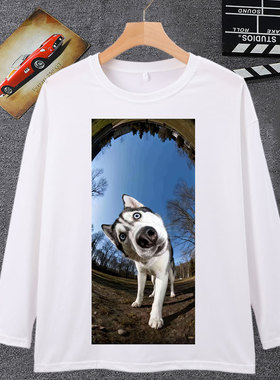 哈士奇盯镜头表情包长袖男t恤女搞笑二哈狗头牛马小猪猪萌宠衣服