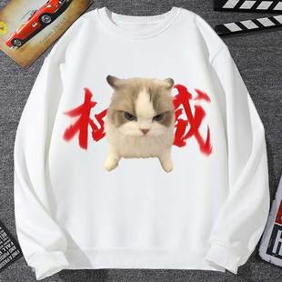 网红猫meme权威头像卫衣男外套女搞怪小猫抽象猫咪恶搞沙雕学生装
