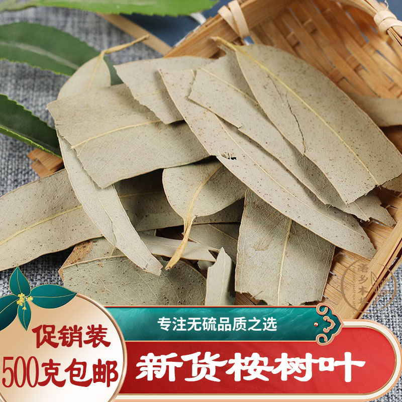 桉树叶500g包邮 中草药桉树大叶中药材按树叶子干尤加利树叶1斤