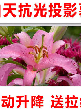 光子幕布白天抗光投影幕布白天抗光手拉幕布抗光幕布白天直投卷帘幕布投影家用投影仪幕布手动升降幕布投影布