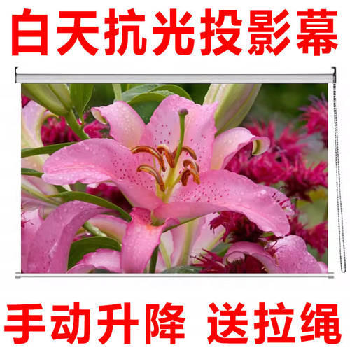 白天抗光投影幕布白天抗光投影布