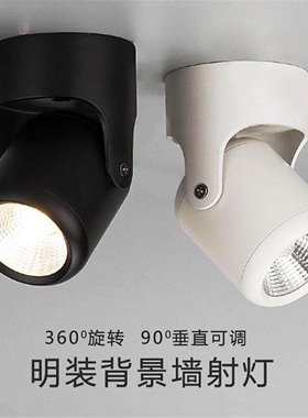 明装射灯LED电视背景墙万向COB照画小射灯吸顶式天花射灯可调角度