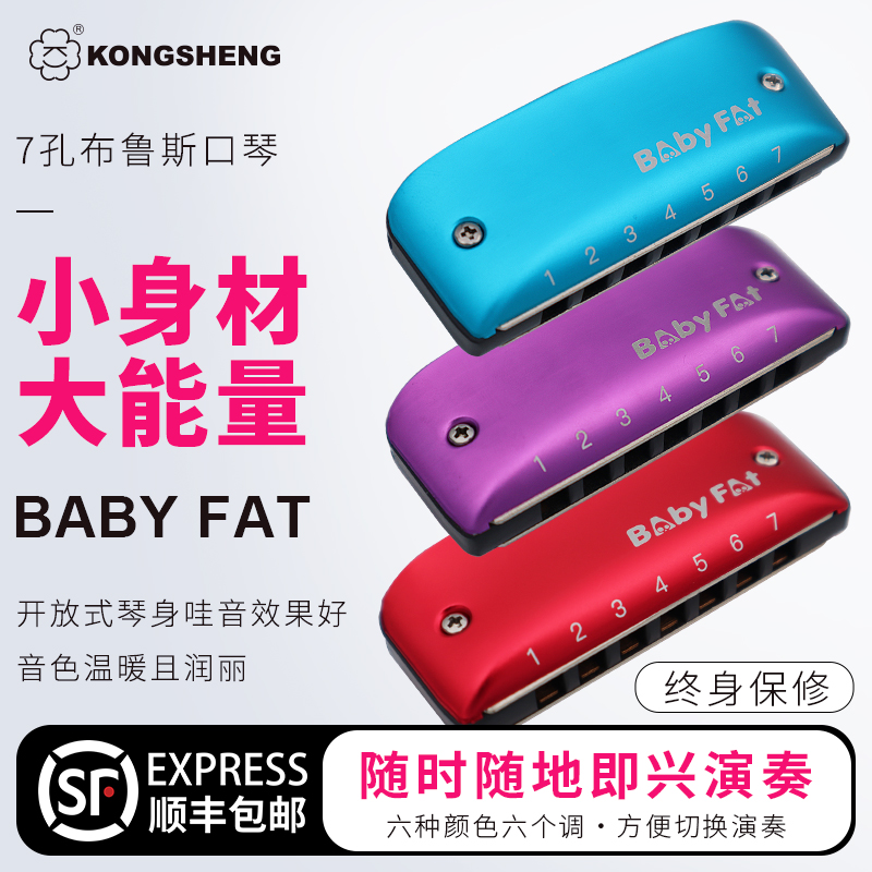 布鲁斯口琴孔声蓝调初学Babyfat