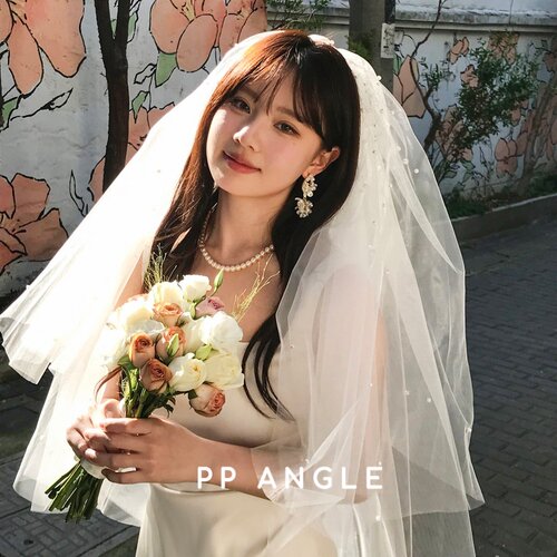 PP白色钉珠婚庆登记头纱