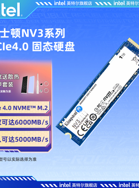 金士顿NV3 PCIe4.0 1/2T m2台式机电脑笔记本ps5 ssd固态硬盘500G