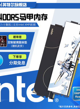 挚科6000MHz低时序白鸽/无界C28台式机16*2马甲内存条套装DDR5