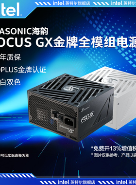 SEASONIC海韵电源FOCUS GX1000 850 750W金牌全模组支持5090显卡