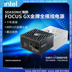 SEASONIC海韵电源FOCUS GX1000 850 750W金牌全模组支持5090显卡