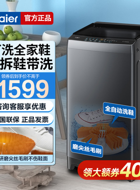 海尔洗鞋机家用全自动小型懒人神器刷鞋洗地垫地毯袜子HQ2-T66