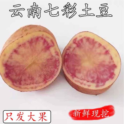 花心洋芋 花心土豆 云南丽江七彩土豆紫五花马铃薯新鲜红心大土豆