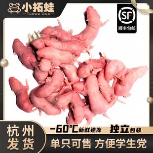 小拓蛙顺丰京东冰冻小白鼠红皮喂蛇白霜冷冻乳鼠宠物蛇饲料粮喂龟
