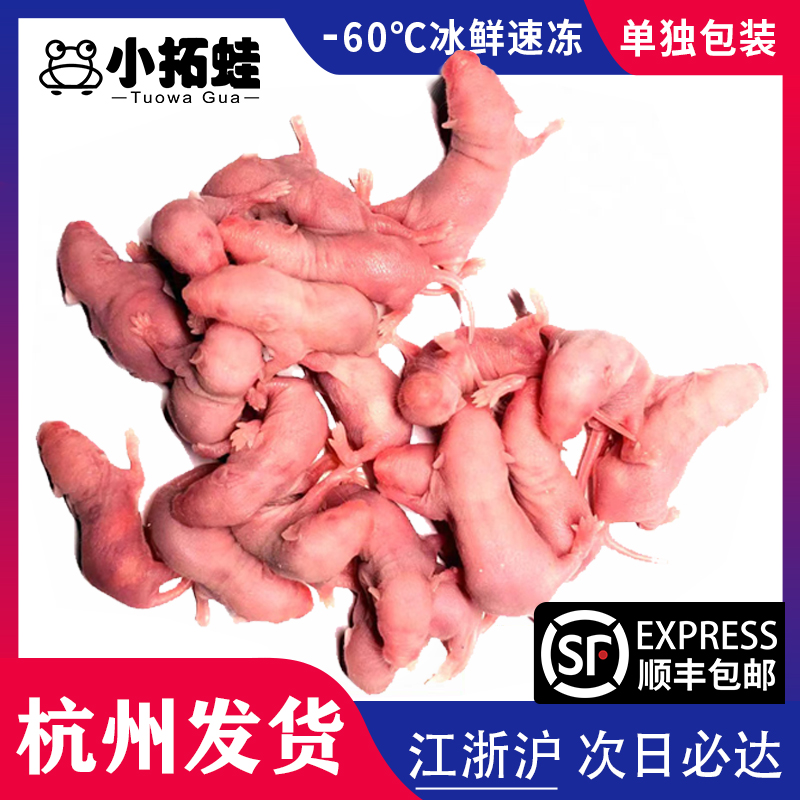 冷冻红皮乳鼠宠物蛇饲料喂猫龟树蛙冰冻粉白霜杭州包邮蜥蜴小白鼠