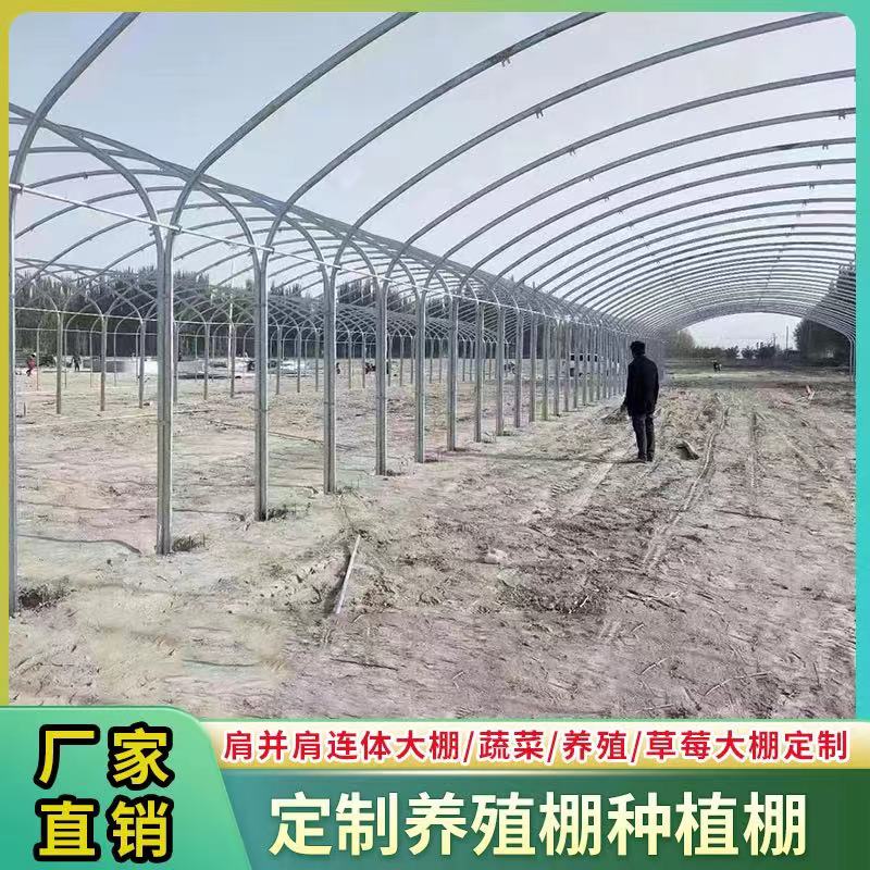 温室大棚钢管骨架种植养殖棚全套