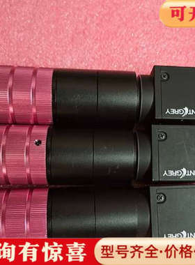 议价Piont grey 灰点 BFLY-PGE-12A2M-C议价