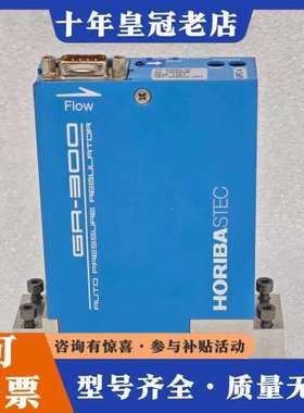 议价HORIBA GR-312F 13.33kPa(A) He可维修