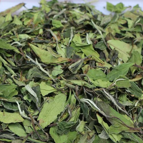 2026福鼎白茶寿眉 高山日晒寿眉 散装茶叶 花香耐泡 老白茶口粮茶
