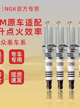适配众泰20085008大迈X5X7T700M300SR7T200T300T600Z300NGK火花塞