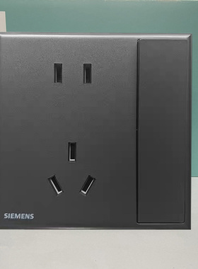 西门子开关插座西门子皓意深灰银一开五孔带开关5UB1924-3NC022P