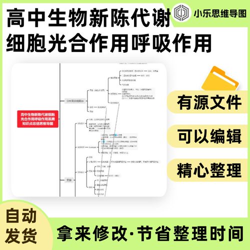 高中生物新陈代谢细胞光合作用呼吸作用蒸腾知识点Xmind笔记制作