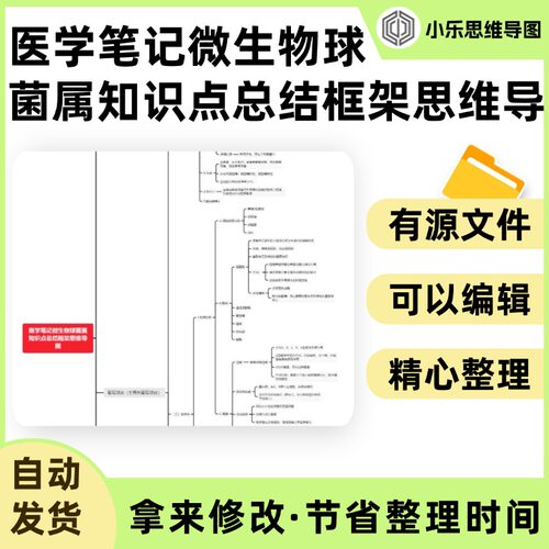 医学笔记微生物球菌属知识点总结框架思维导图Xmind笔记制作电子